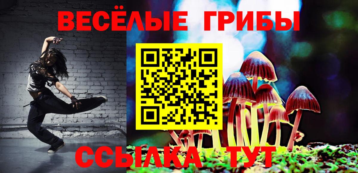 Родники  Псилоцибиновые грибы ЛСД  Вход с VPN 