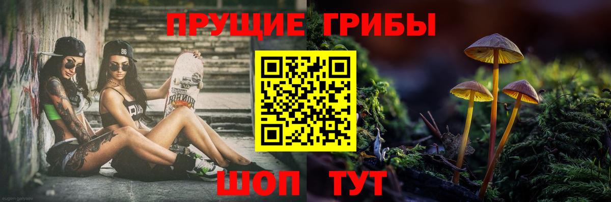 Псилоцибиновые грибы MAGIC MUSHROOMS Родники